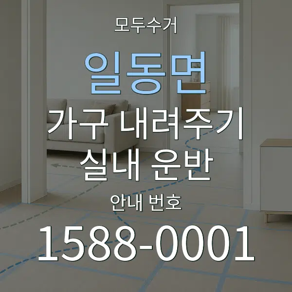 일동면 가구 내려주기·실내 운반 대표 안내 그래픽