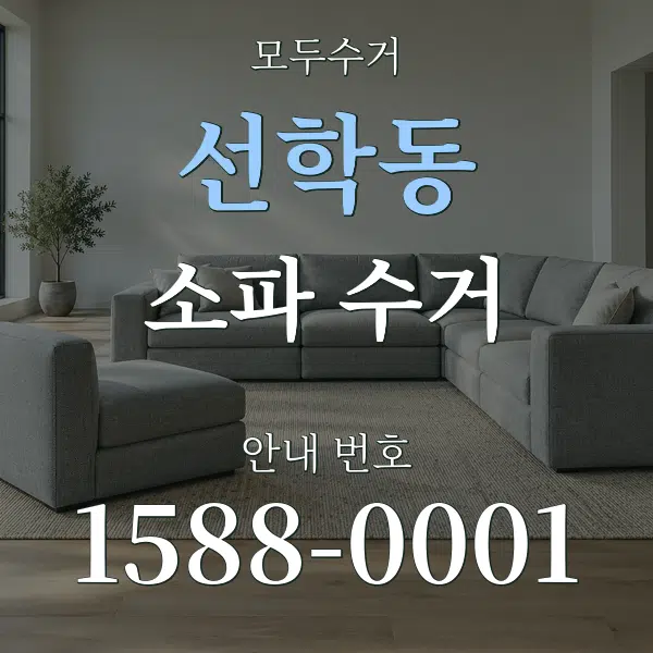 선학동 소파 수거 대표 안내 그래픽