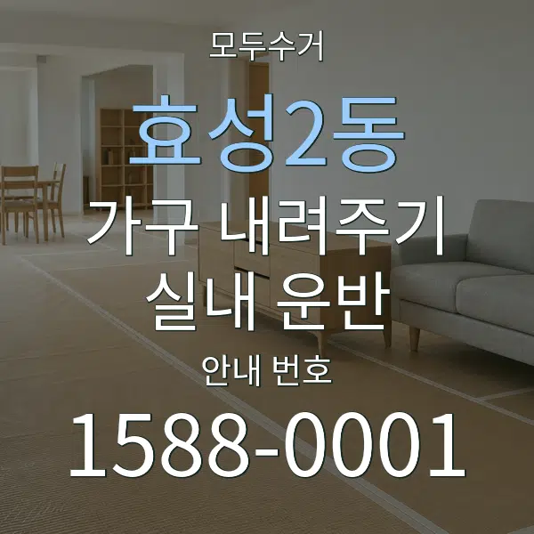 효성2동 가구 내려주기·실내 운반 대표 안내 그래픽