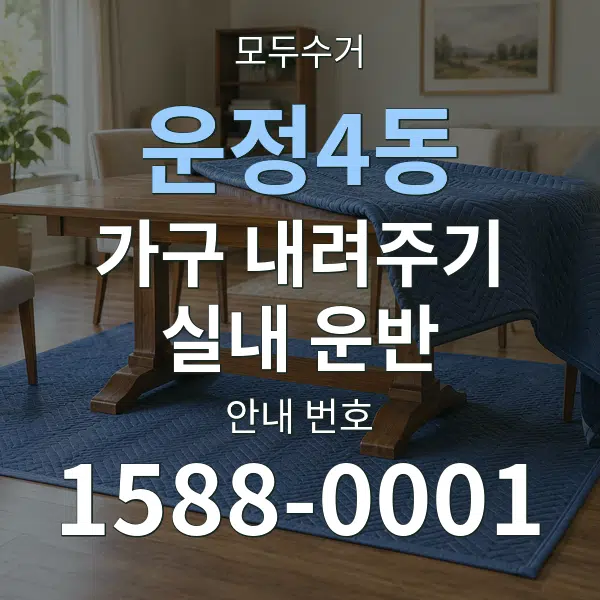 운정4동 가구 내려주기·실내 운반 대표 안내 그래픽