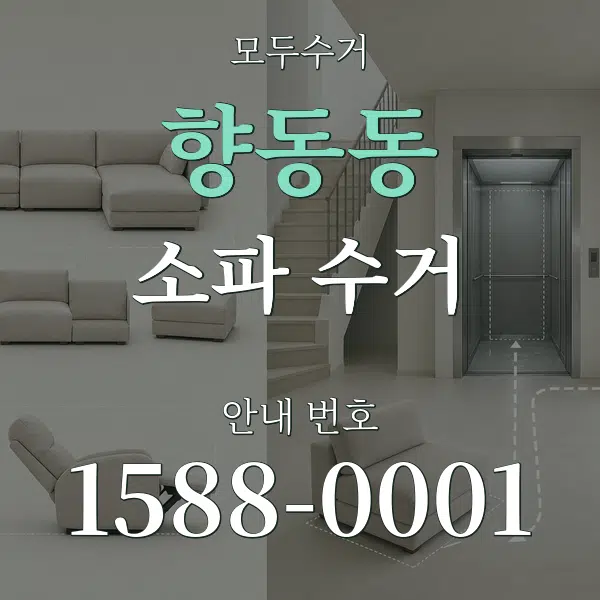 향동동 소파 수거 대표 안내 그래픽