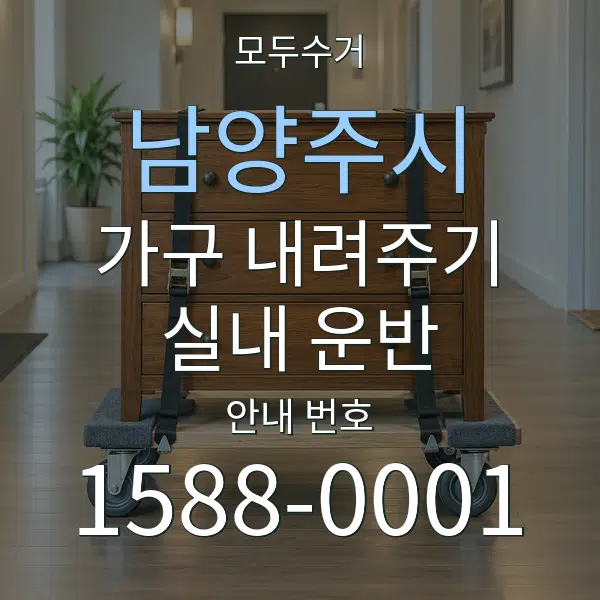 남양주시 가구 내려주기·실내 운반 대표 안내 그래픽