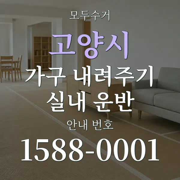 고양시 가구 내려주기·실내 운반 대표 안내 그래픽