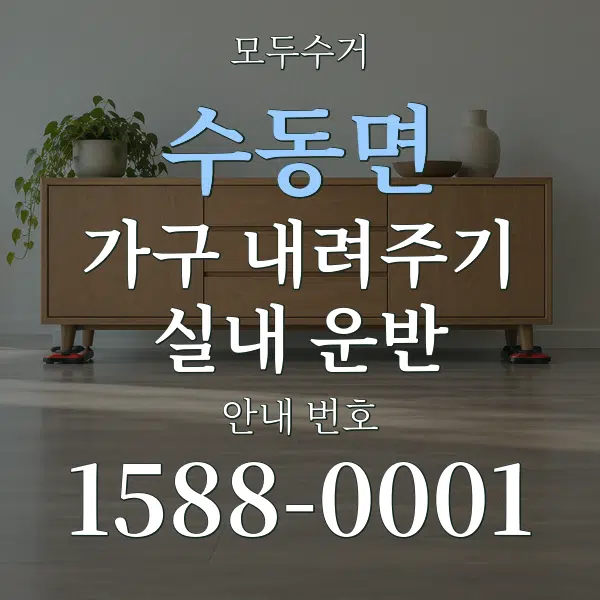 수동면 가구 내려주기·실내 운반 대표 안내 그래픽