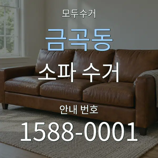 금곡동 소파 수거 대표 안내 그래픽