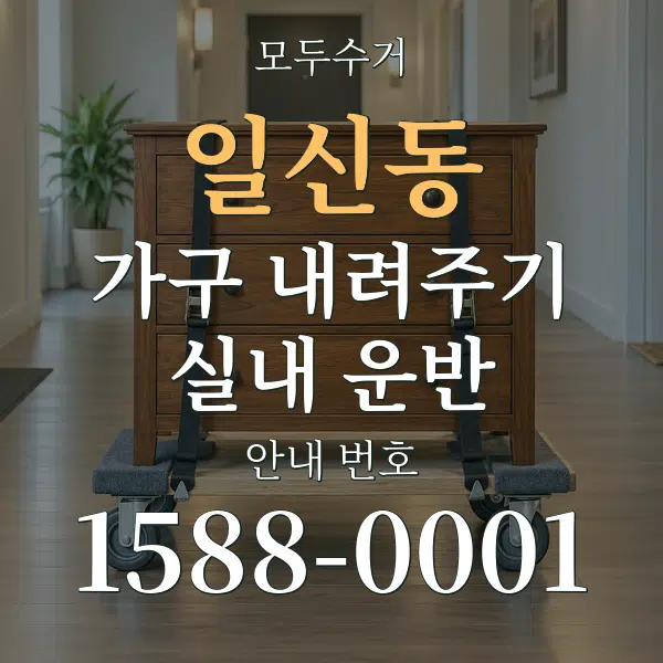 일신동 가구 내려주기·실내 운반 대표 안내 그래픽