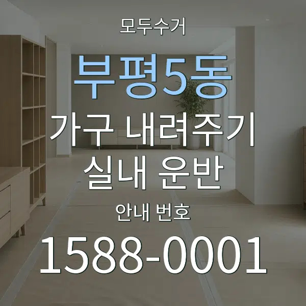 부평5동 가구 내려주기·실내 운반 대표 안내 그래픽