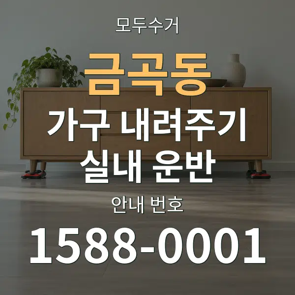 금곡동 가구 내려주기·실내 운반 대표 안내 그래픽