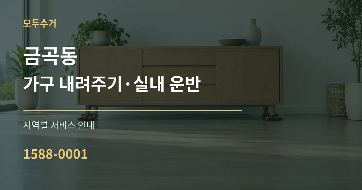 금곡동 가구 내려주기·실내 운반 대표 안내 그래픽