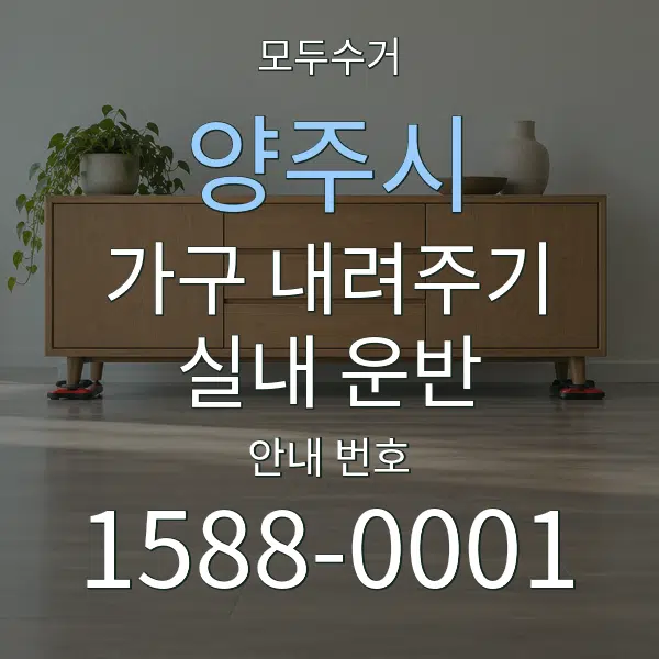 양주시 가구 내려주기·실내 운반 대표 안내 그래픽