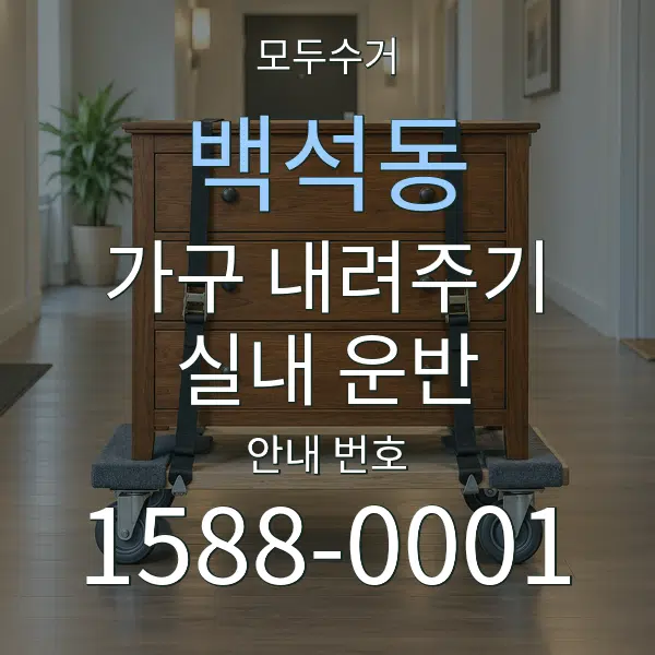 백석동 가구 내려주기·실내 운반 대표 안내 그래픽