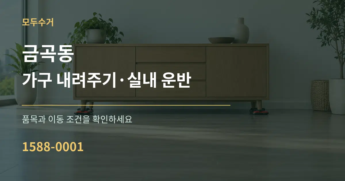 금곡동 가구 내려주기·실내 운반 서비스 이용 안내 그래픽