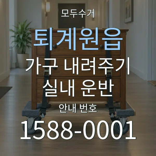 퇴계원읍 가구 내려주기·실내 운반 대표 안내 그래픽