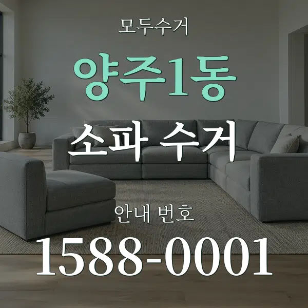 양주1동 소파 수거 대표 안내 그래픽
