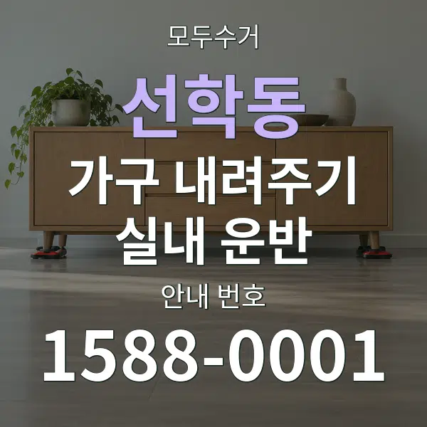 선학동 가구 내려주기·실내 운반 대표 안내 그래픽