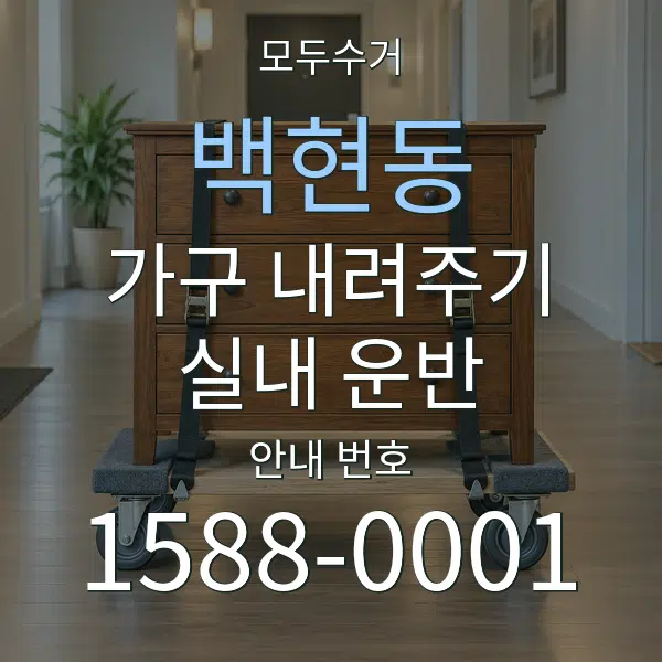 백현동 가구 내려주기·실내 운반 대표 안내 그래픽