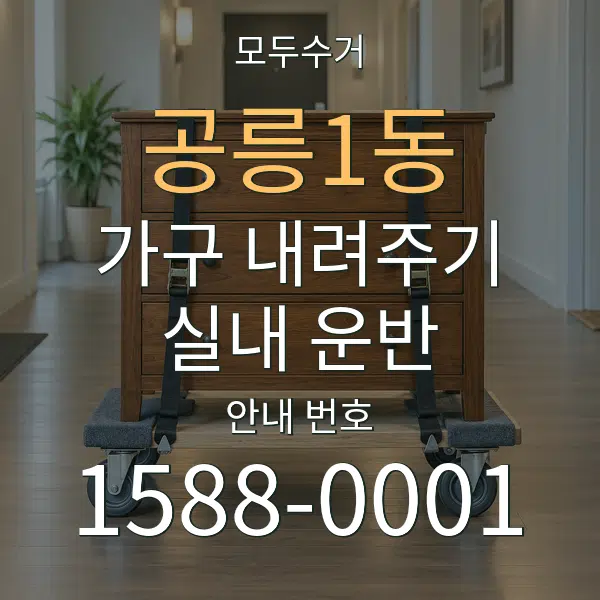 공릉1동 가구 내려주기·실내 운반 대표 안내 그래픽