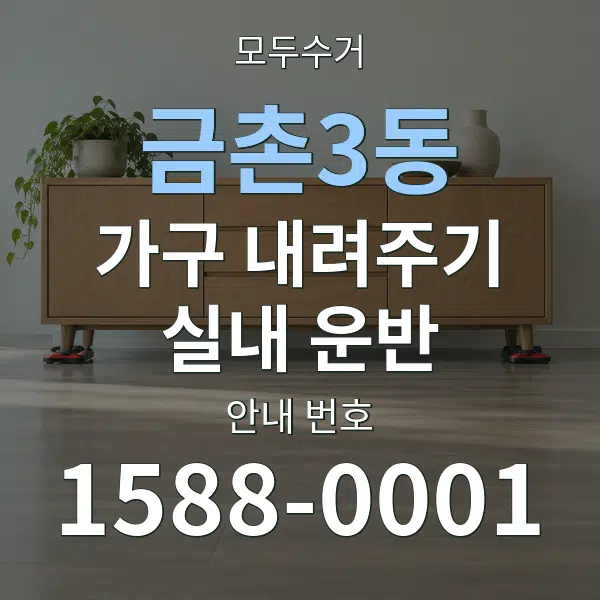 금촌3동 가구 내려주기·실내 운반 대표 안내 그래픽