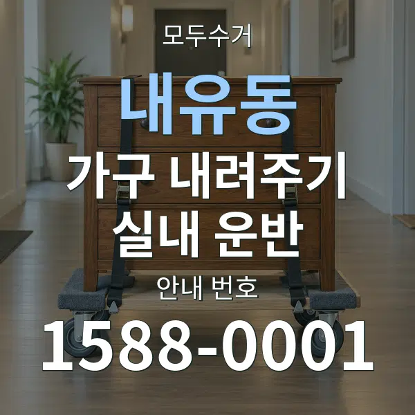 내유동 가구 내려주기·실내 운반 대표 안내 그래픽