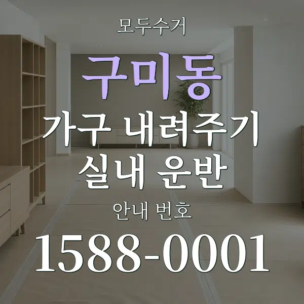 구미동 가구 내려주기·실내 운반 대표 안내 그래픽