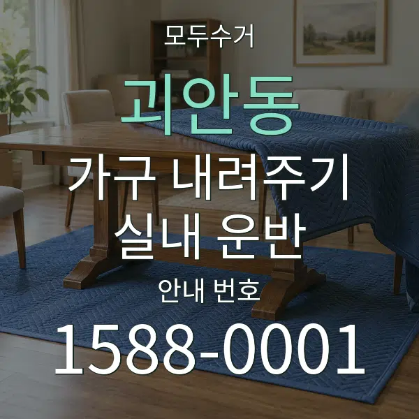 괴안동 가구 내려주기·실내 운반 대표 안내 그래픽