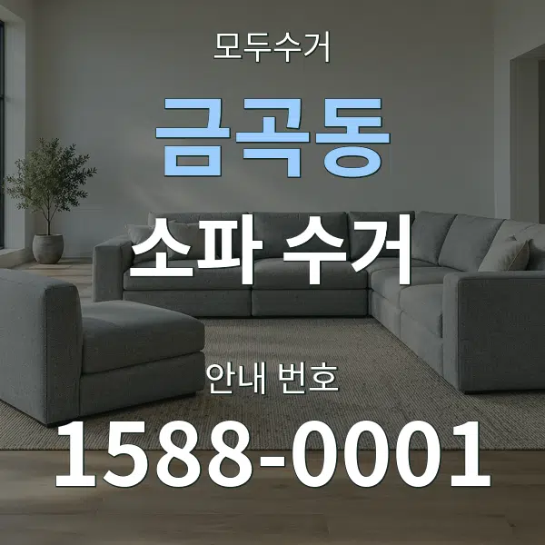 금곡동 소파 수거 대표 안내 그래픽