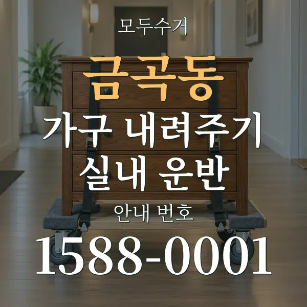 금곡동 가구 내려주기·실내 운반 대표 안내 그래픽