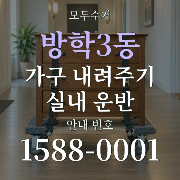 방학3동 가구 내려주기·실내 운반 대표 안내 그래픽