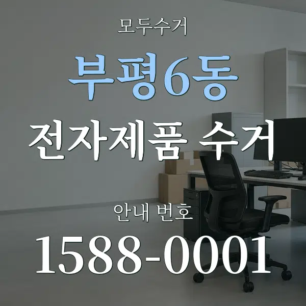 부평6동 전자제품 수거 대표 안내 그래픽