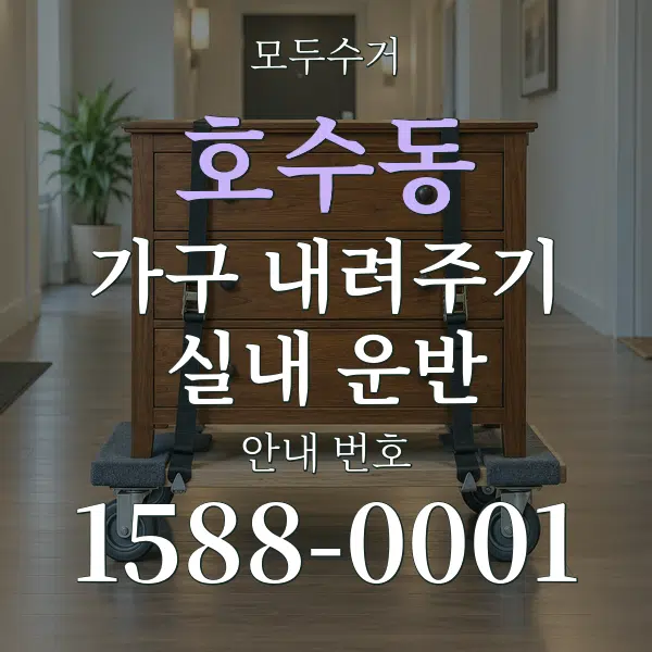 호수동 가구 내려주기·실내 운반 대표 안내 그래픽