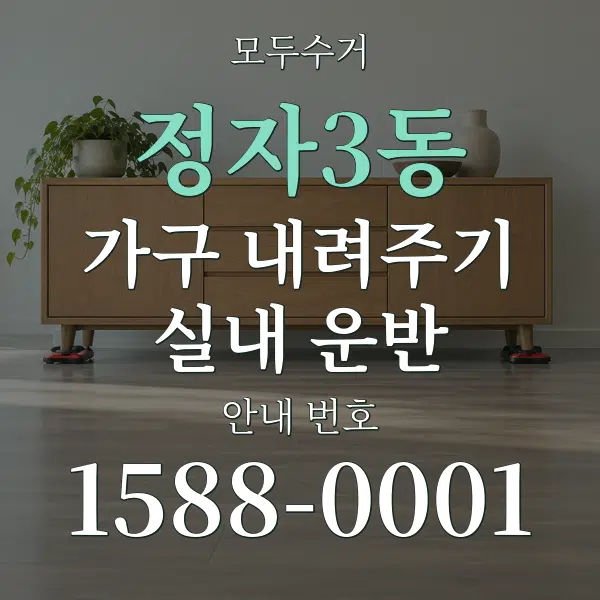 정자3동 가구 내려주기·실내 운반 대표 안내 그래픽