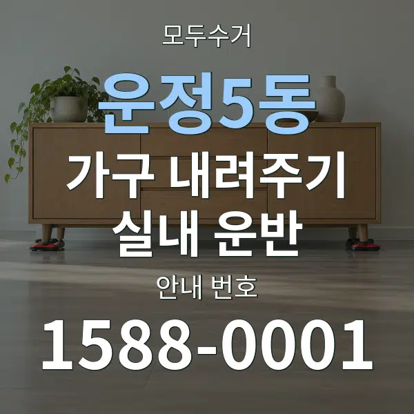 운정5동 가구 내려주기·실내 운반 대표 안내 그래픽