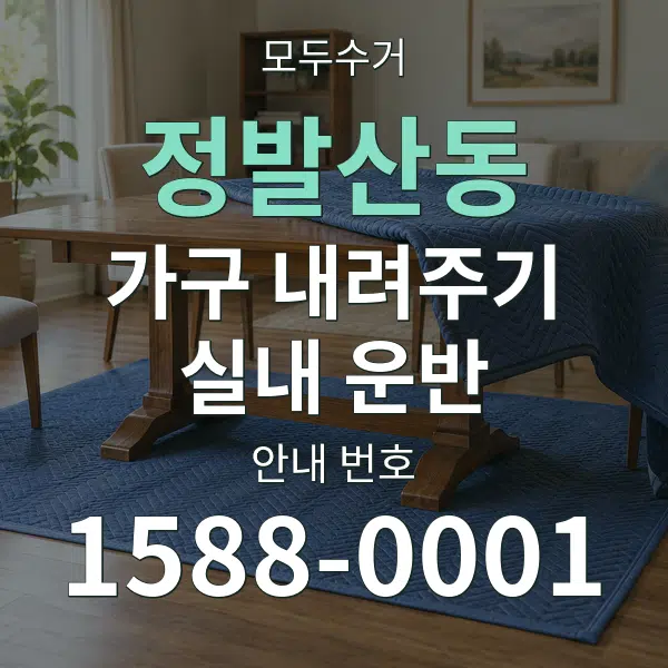정발산동 가구 내려주기·실내 운반 대표 안내 그래픽