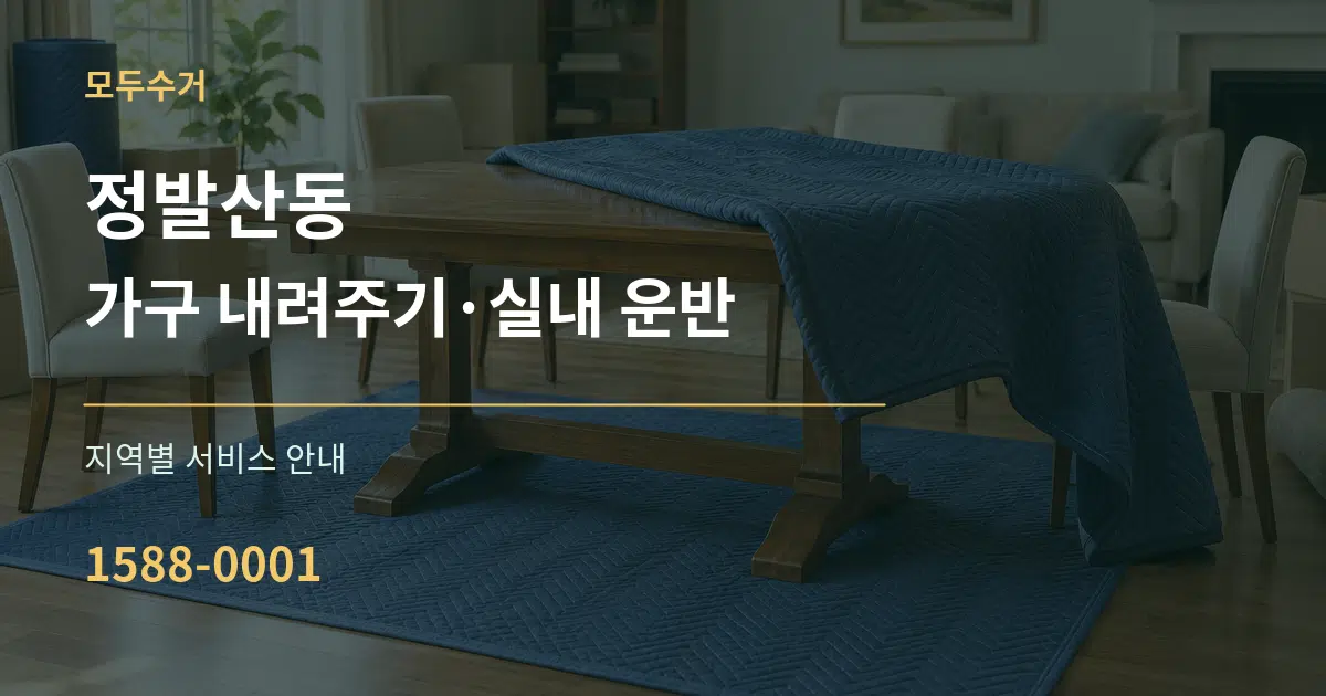 정발산동 가구 내려주기·실내 운반 대표 안내 그래픽