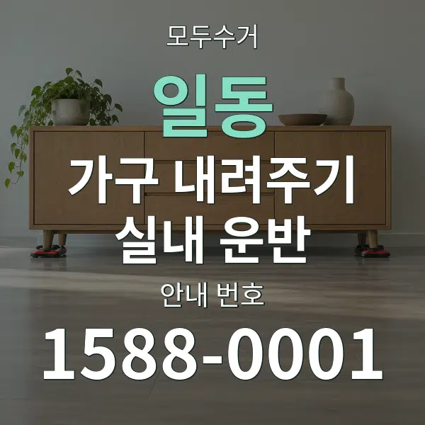일동 가구 내려주기·실내 운반 대표 안내 그래픽