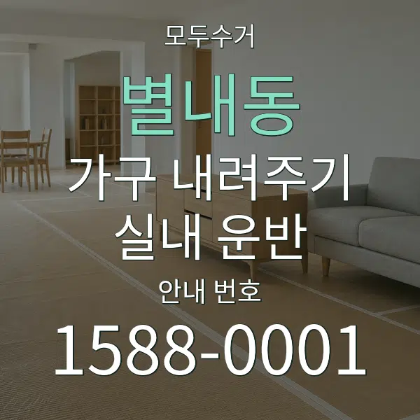 별내동 가구 내려주기·실내 운반 대표 안내 그래픽