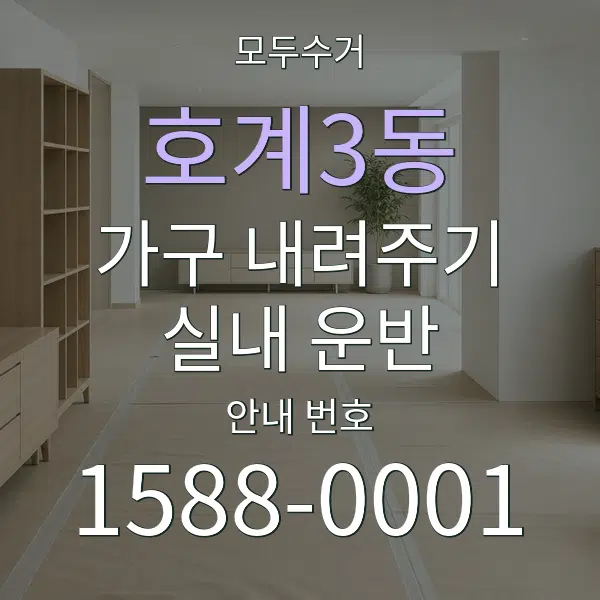 호계3동 가구 내려주기·실내 운반 대표 안내 그래픽