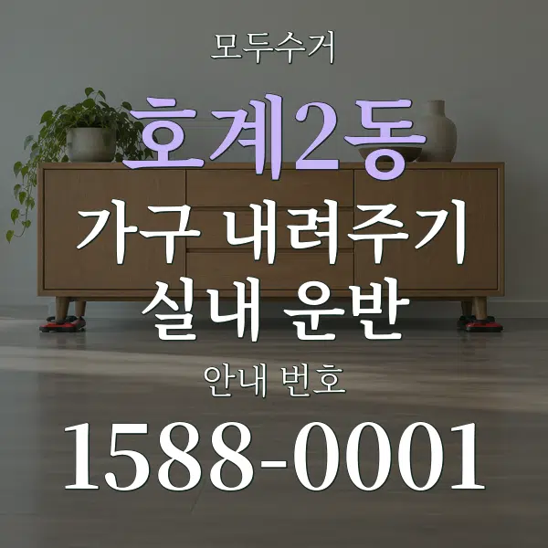 호계2동 가구 내려주기·실내 운반 대표 안내 그래픽