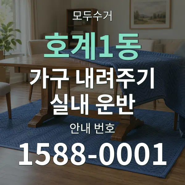 호계1동 가구 내려주기·실내 운반 대표 안내 그래픽