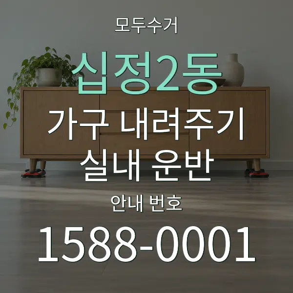 십정2동 가구 내려주기·실내 운반 대표 안내 그래픽