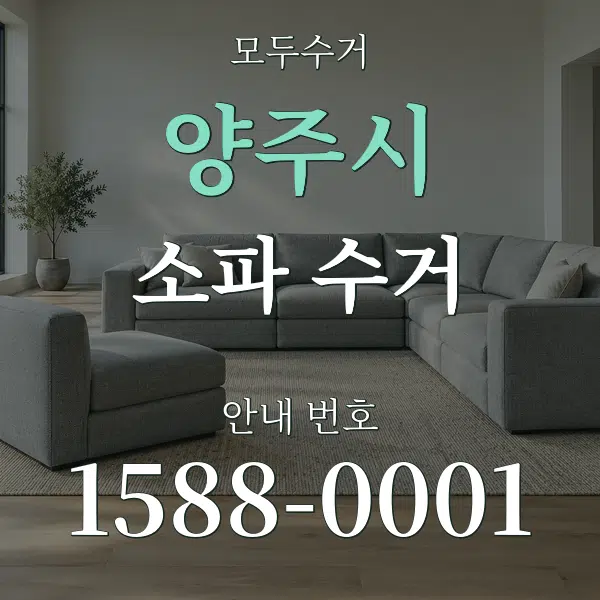 양주시 소파 수거 대표 안내 그래픽