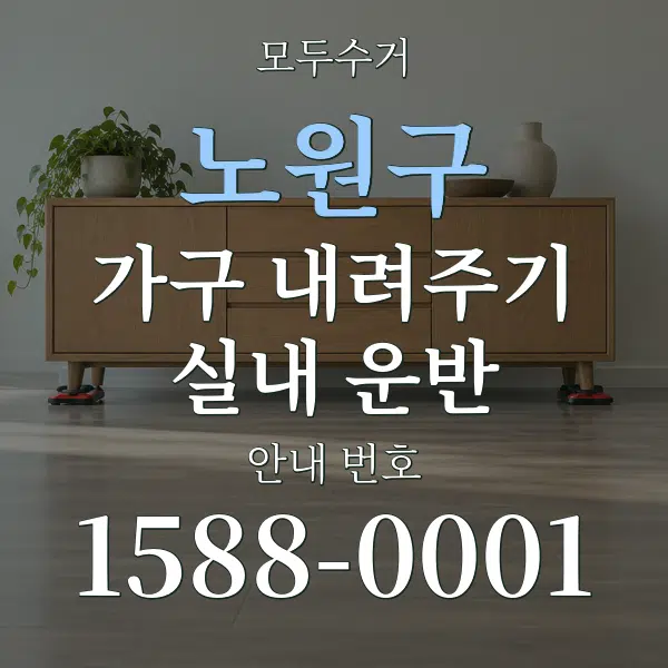 노원구 가구 내려주기·실내 운반 대표 안내 그래픽