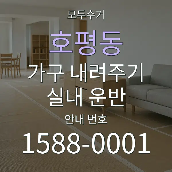 호평동 가구 내려주기·실내 운반 대표 안내 그래픽