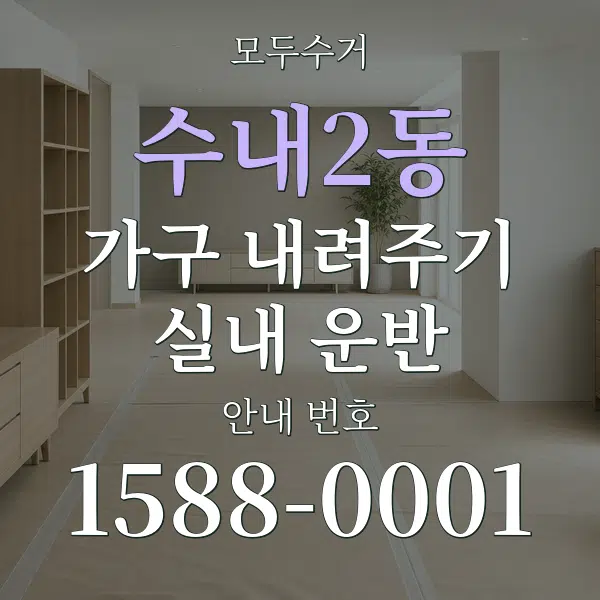 수내2동 가구 내려주기·실내 운반 대표 안내 그래픽