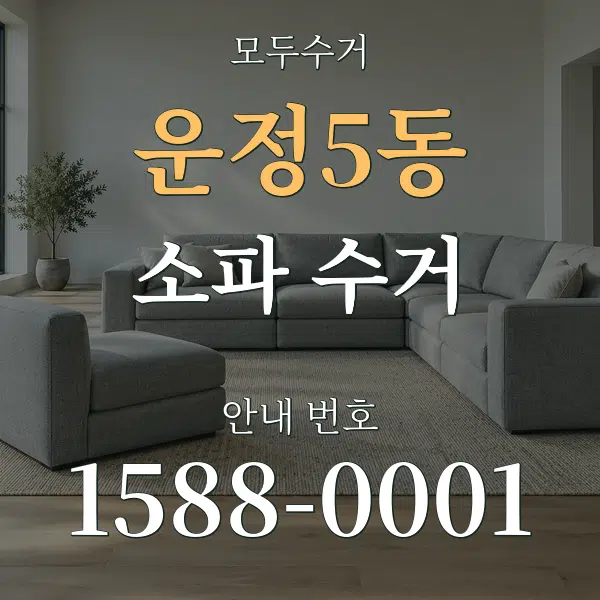 운정5동 소파 수거 대표 안내 그래픽