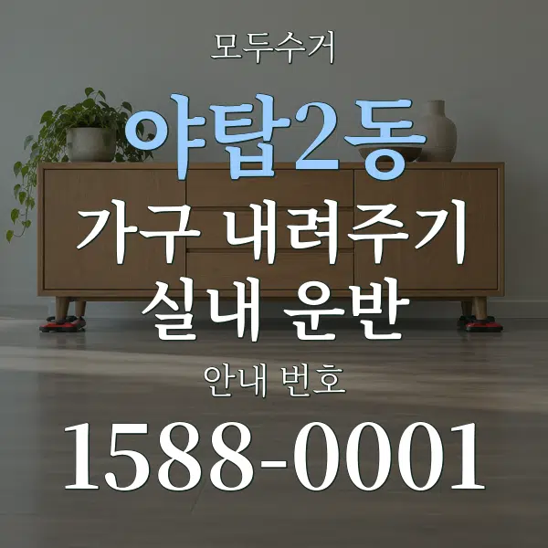 야탑2동 가구 내려주기·실내 운반 대표 안내 그래픽