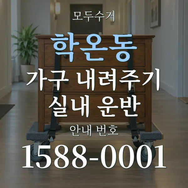 학온동 가구 내려주기·실내 운반 대표 안내 그래픽