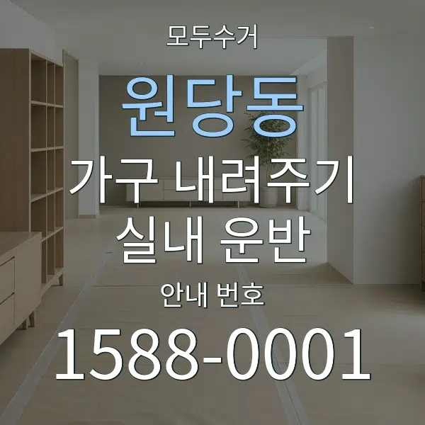 원당동 가구 내려주기·실내 운반 대표 안내 그래픽
