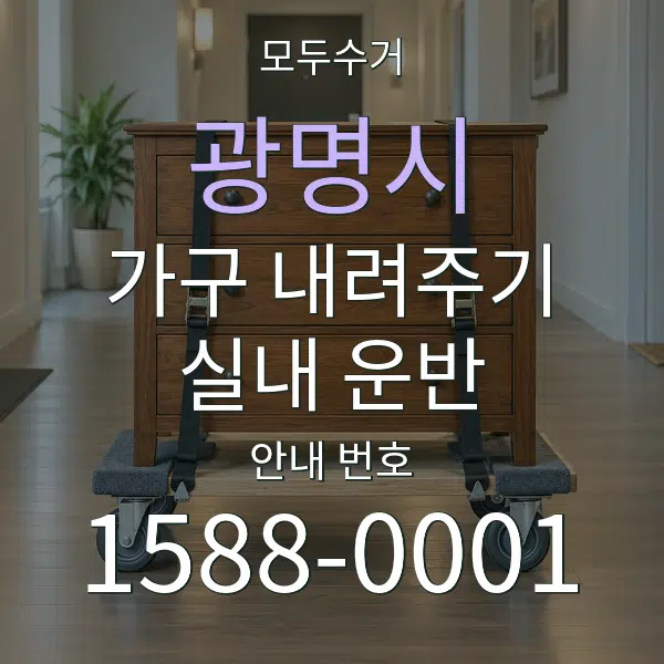 광명시 가구 내려주기·실내 운반 대표 안내 그래픽