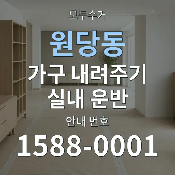 원당동 가구 내려주기·실내 운반 대표 안내 그래픽